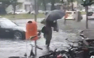 150033901816584.gif