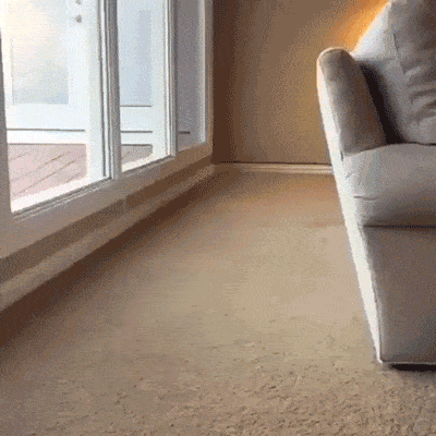 150033901846822.gif