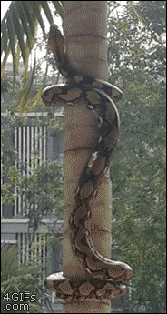 150035790854985.gif