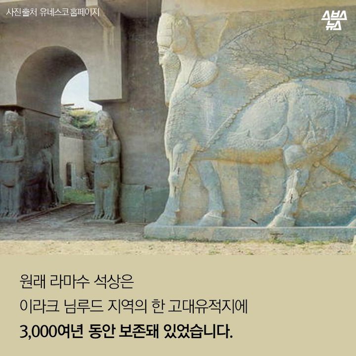 150035954927233.jpg