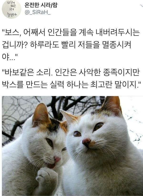 150121899613093.jpg