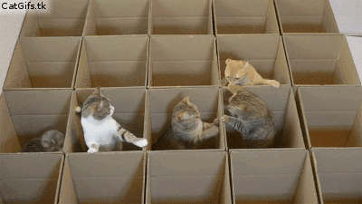 150121900419860.gif