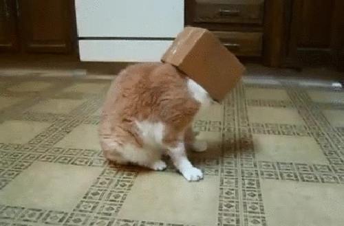 150121900972051.gif