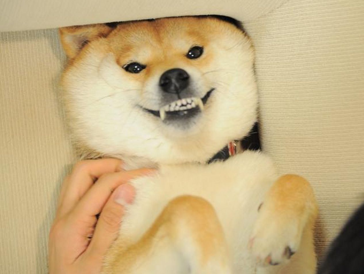 150129938861970.JPEG