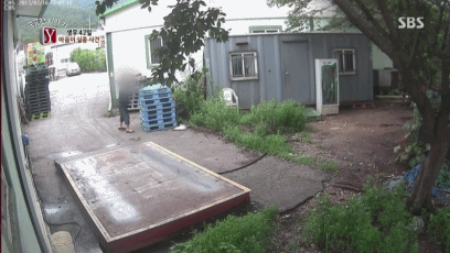 150132063799150.gif