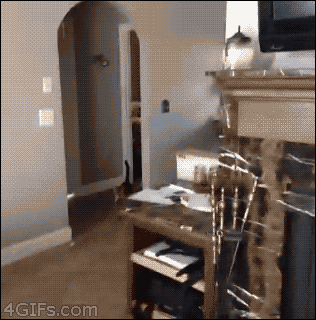 150139557652037.gif