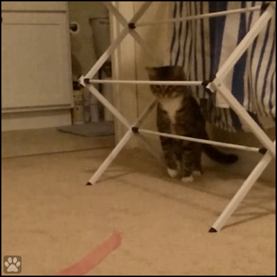 150139889157360.gif
