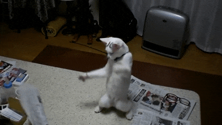 150140045092834.gif