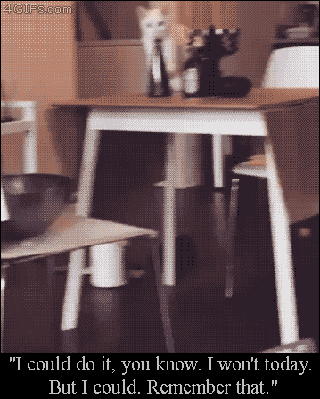 150140045249231.gif