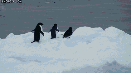 150185284718559.gif
