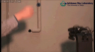 150185287181581.gif