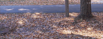 150185290994845.gif
