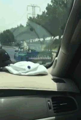 150234928158847.gif