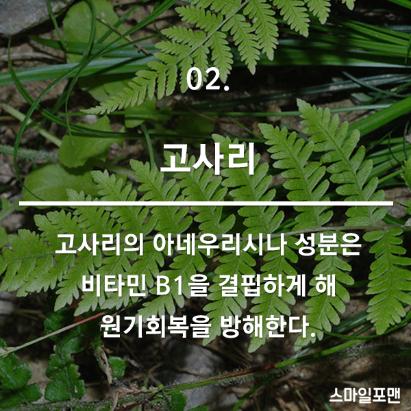 150235713976987.png