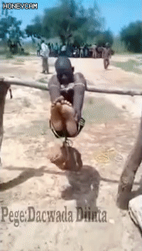 150235717733792.gif