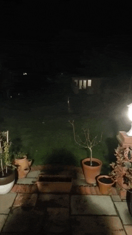 150235811421421.gif