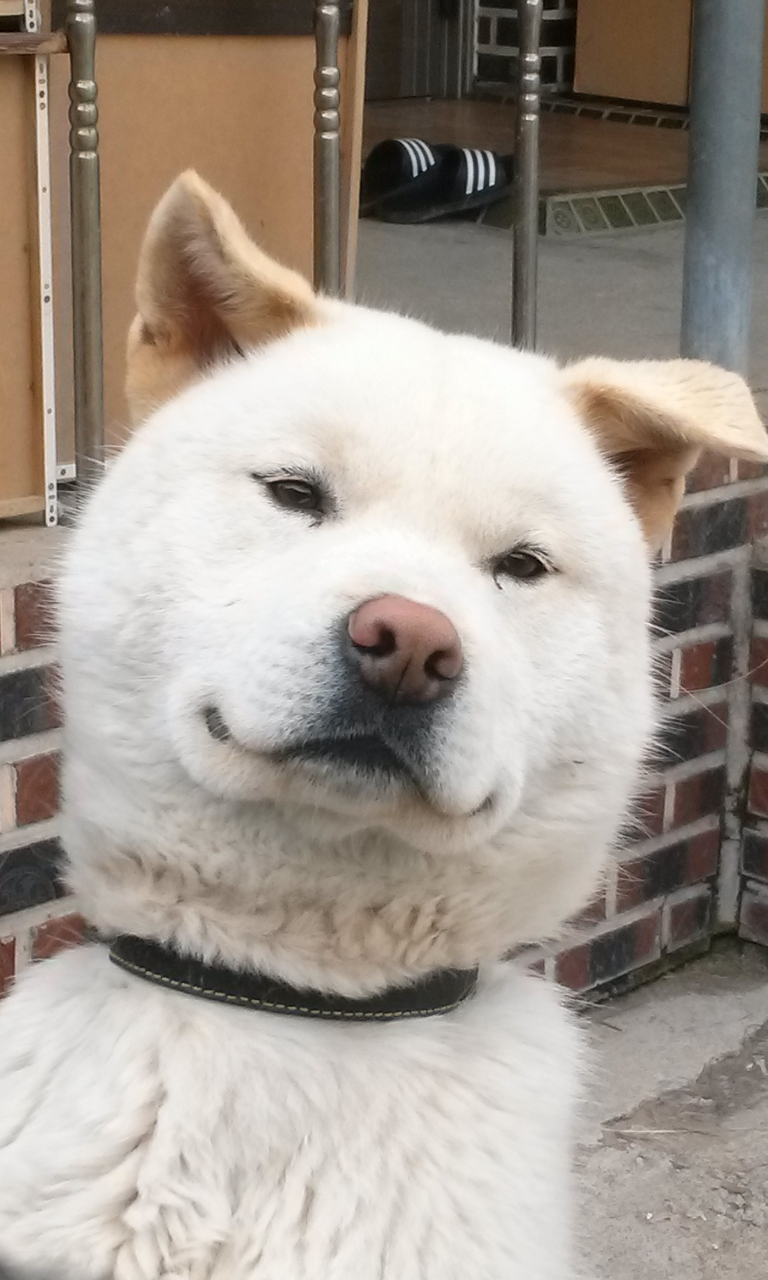 150237033163926.png