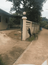 150238189938675.gif