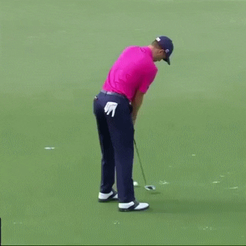 150278501370727.gif