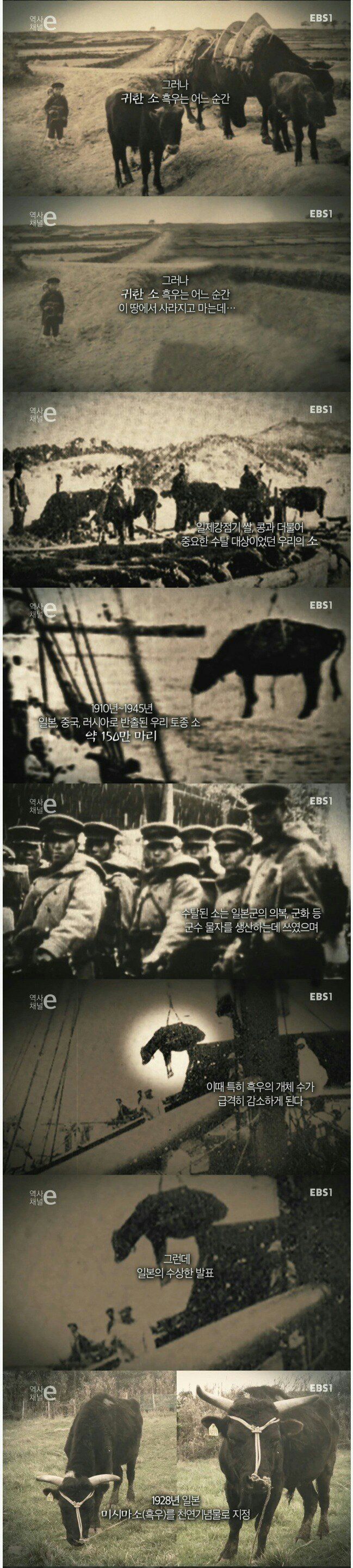 150278628793556.jpg