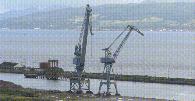 150313851848019.gif