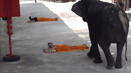 150336193399860.gif