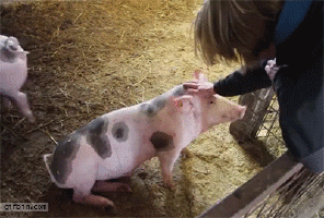 150371357614622.gif