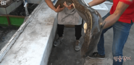 150372131396944.gif