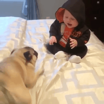 150372346030108.gif