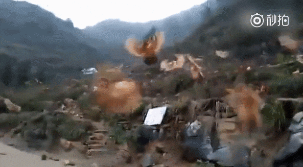 150382492712312.gif