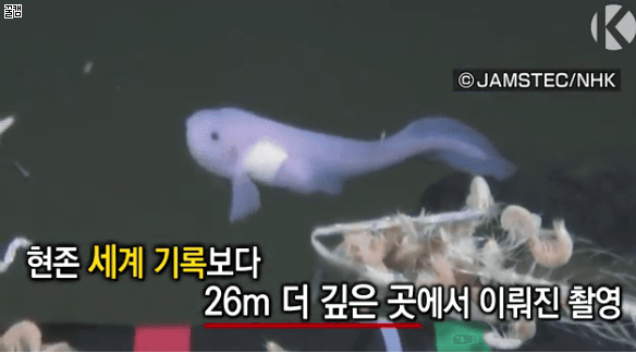 150383523838662.gif