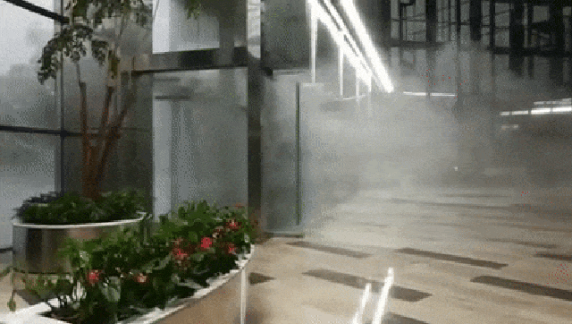 150384048431619.gif