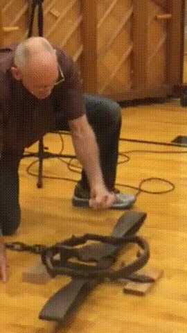 150384653332169.gif