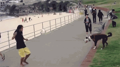 150387900555760.gif