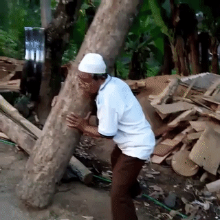 150427706752979.gif