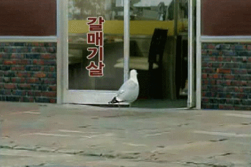 150428534791350.gif