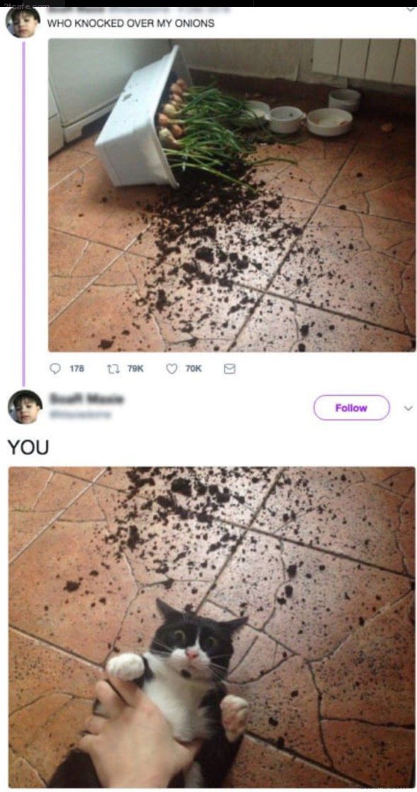 150428544761939.jpg