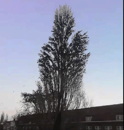 150429343722214.gif