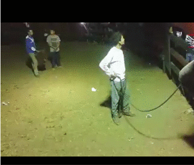 150436524046167.gif