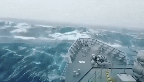 150469677436964.gif