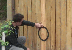 150469797042586.gif
