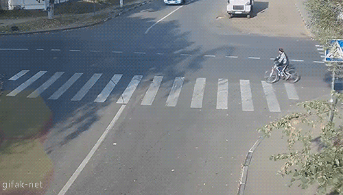 150469904383528.gif