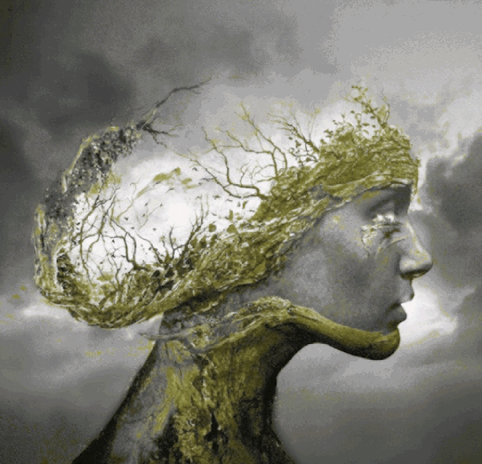 150488785198539.gif