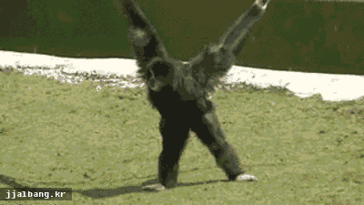 150503890830320.gif