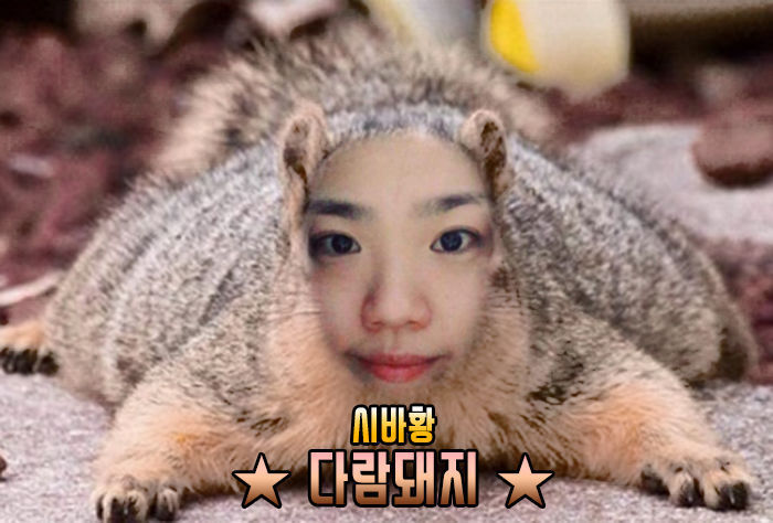 150511543946898.jpg