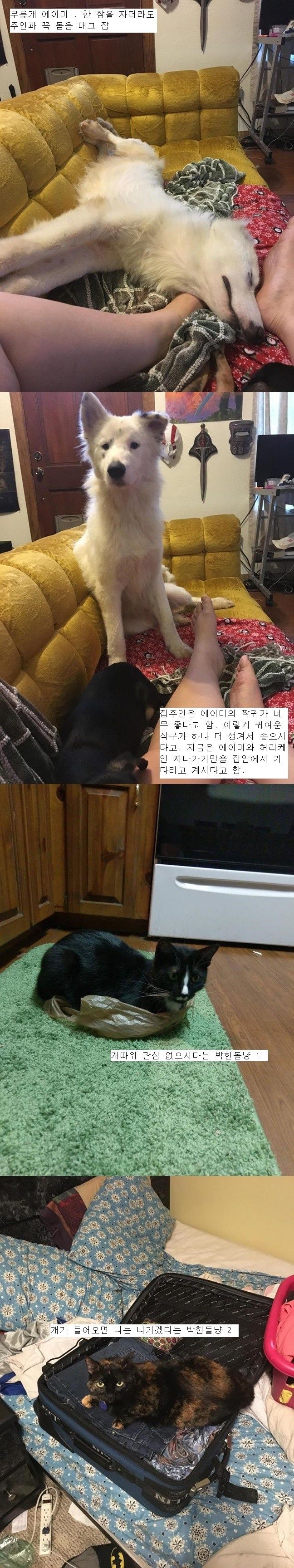 150511556864258.jpg