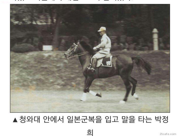 150521439554425.jpg