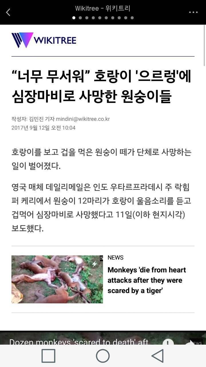 150525860917042.jpg