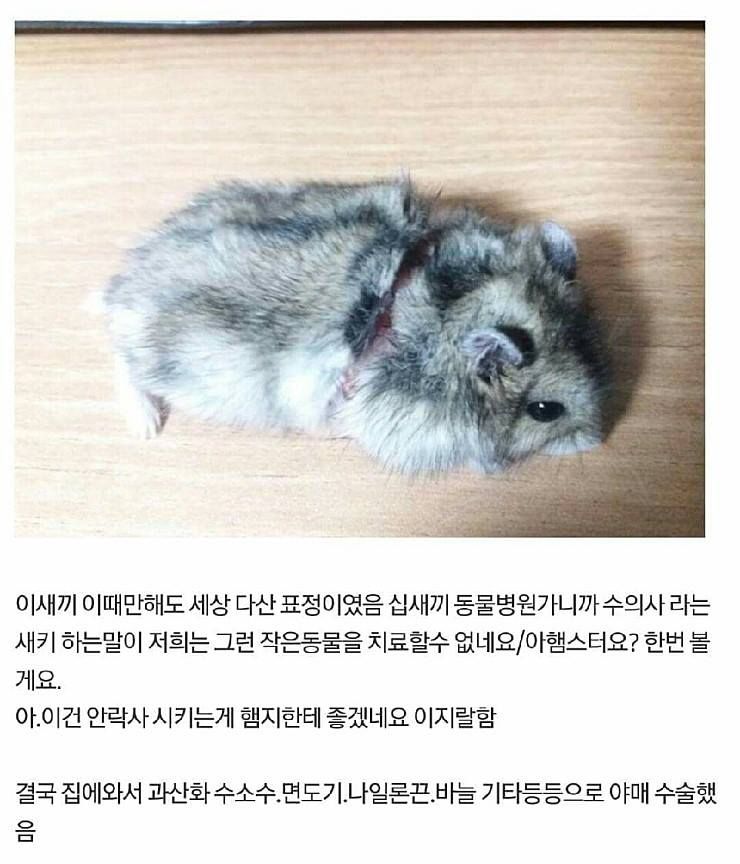 150545052423142.jpg