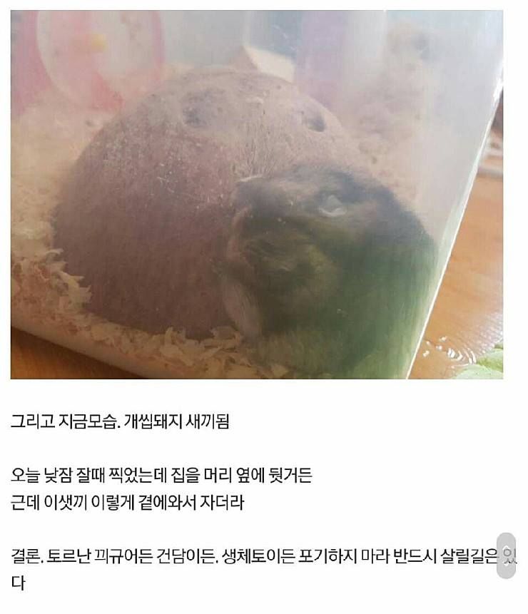 150545052830108.jpg